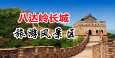 干女人的逼网站中国北京-八达岭长城旅游风景区