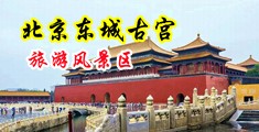 白丝班长jk啪啪流白浆中国北京-东城古宫旅游风景区